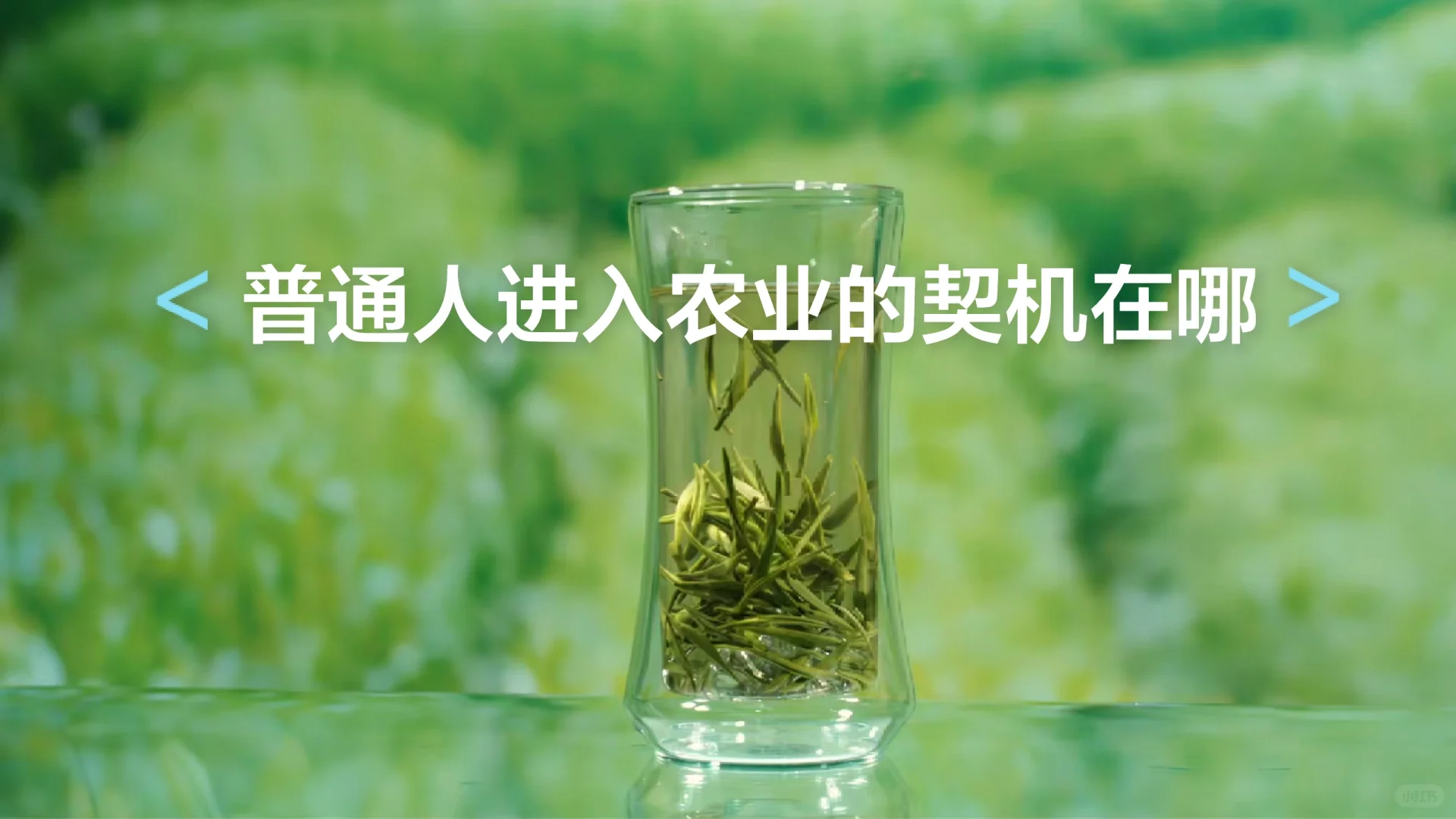 普通人进入农业的契机在哪,从哪方面下手