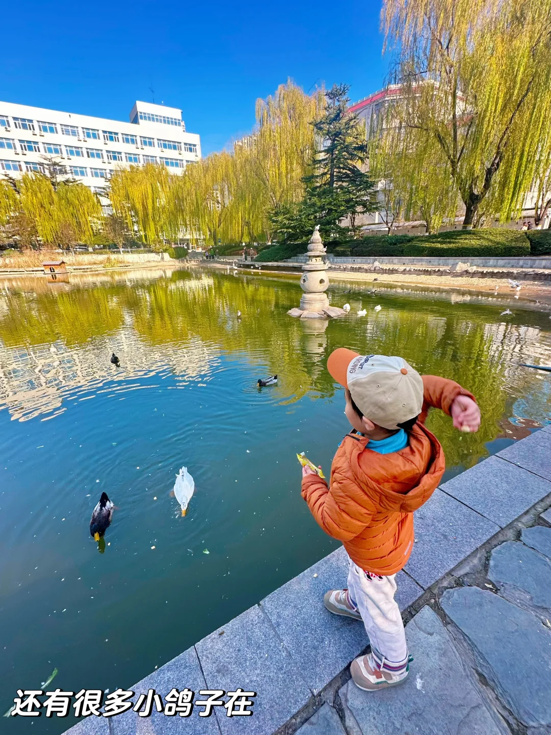 绝杀❗️无动力+大学食堂+火车展馆+喂动物