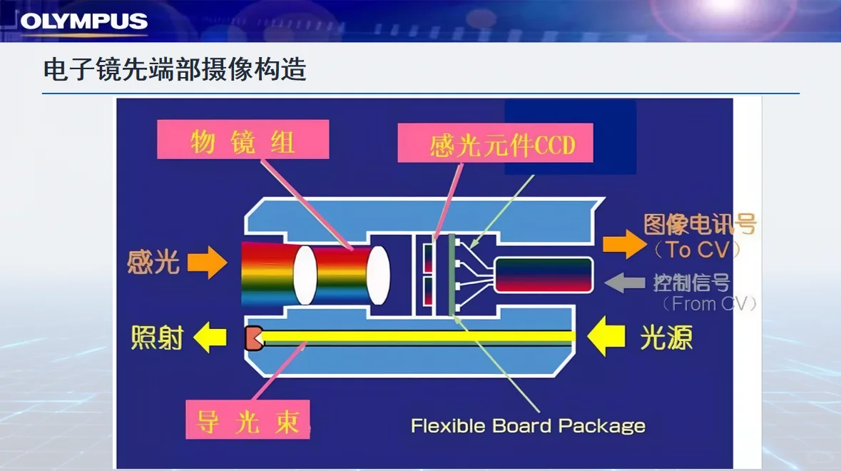 奥林巴斯电子内镜结构和原理