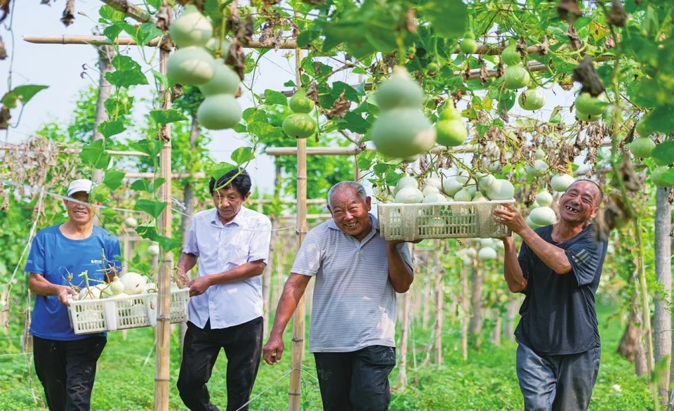 “葫芦经济”拓宽致富路