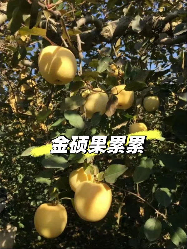 让农业成为有意义的事业！