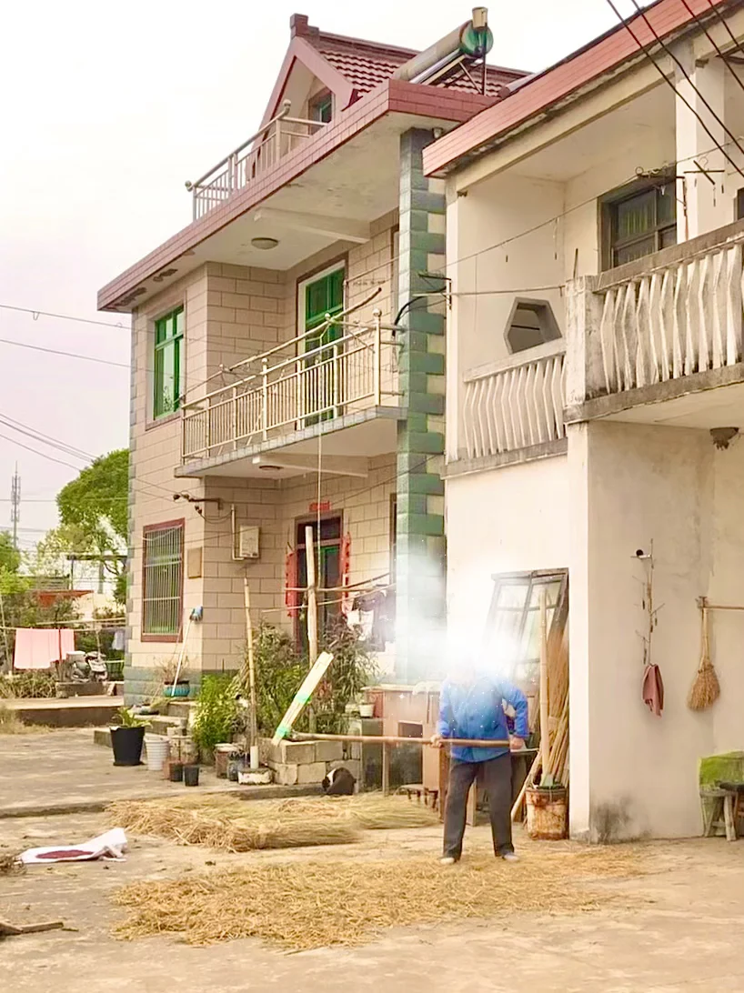 上海乡下|跟你们城巴佬说不清楚新米有多香