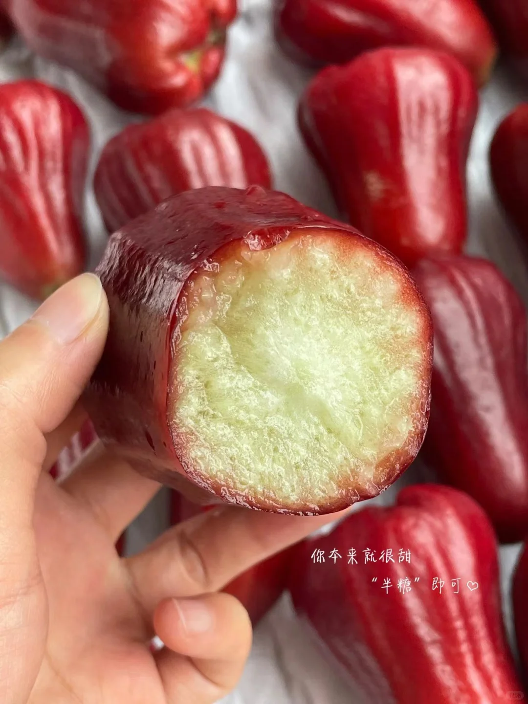 让农业成为有意义的事业！