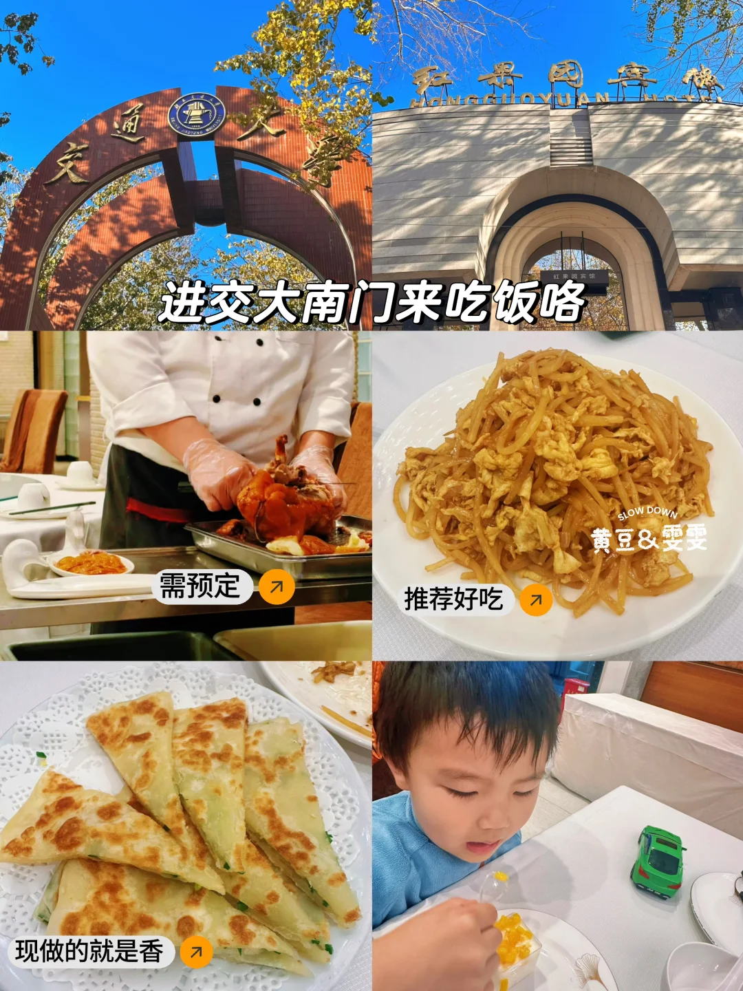 绝杀❗️无动力+大学食堂+火车展馆+喂动物