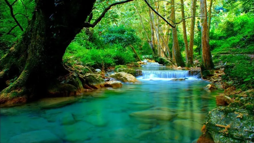 航铁优行|引领现代交通新风尚