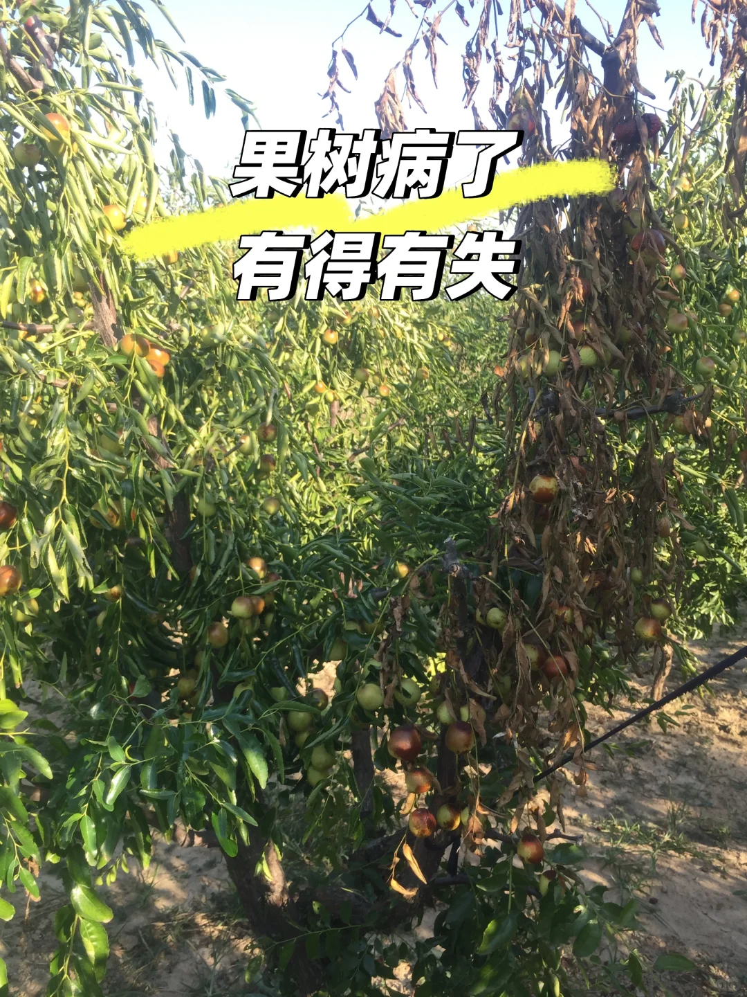 让农业成为有意义的事业！