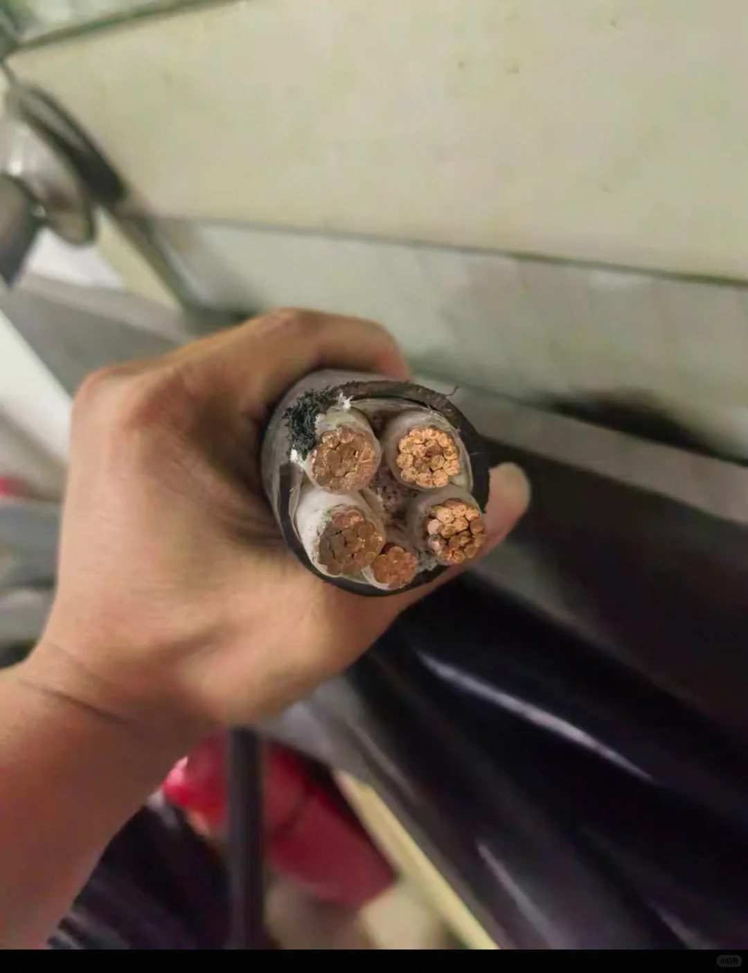 我，收废品的，月入五万.你呢？