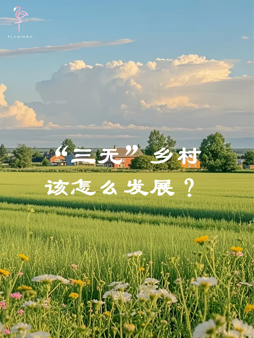 “三无”村破局指南：从0到1的逆袭思维模型