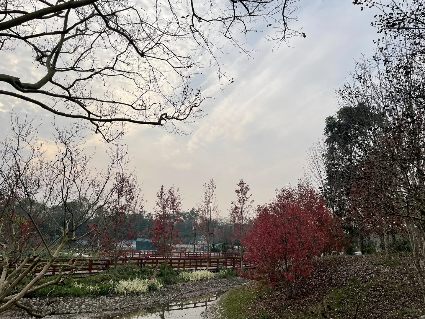 #温江绿康蔬菜家庭农场蔬菜采摘