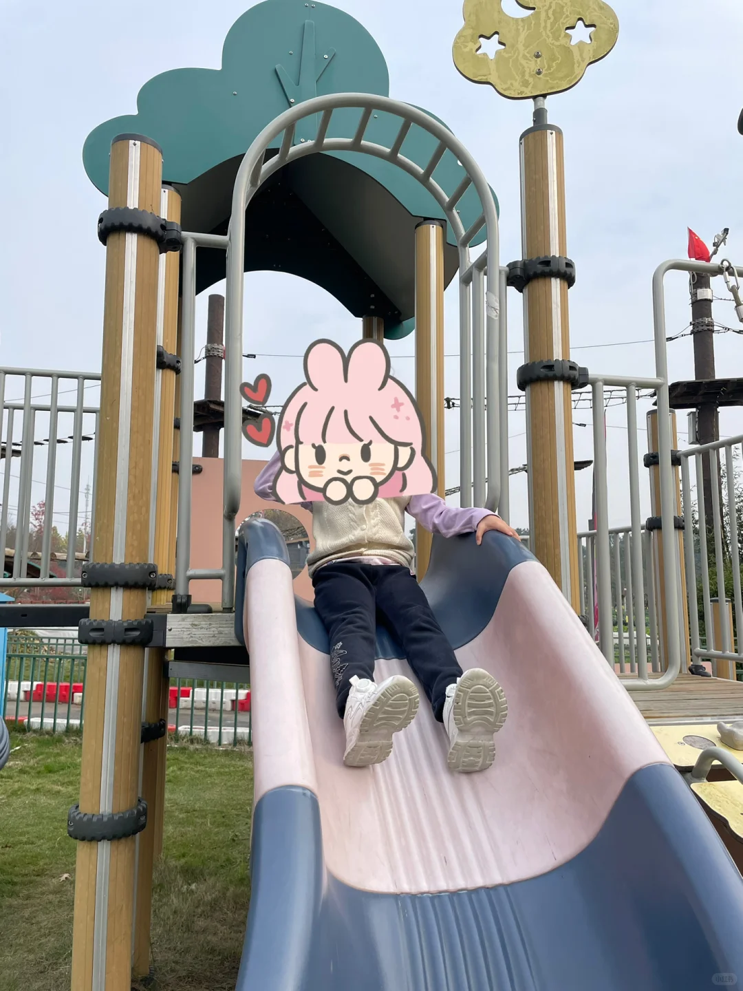 #温江绿康蔬菜家庭农场蔬菜采摘