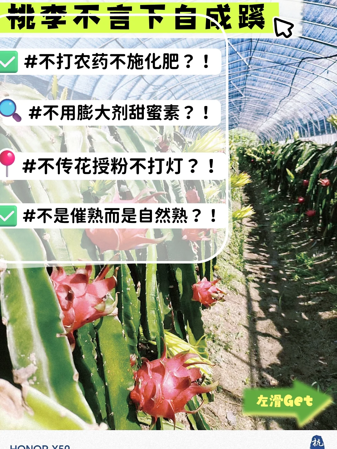 干农场的老板是如何亏掉一个小目标的