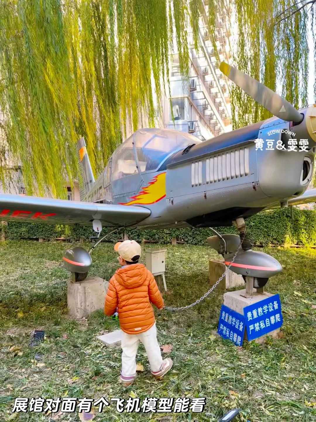 绝杀❗️无动力+大学食堂+火车展馆+喂动物