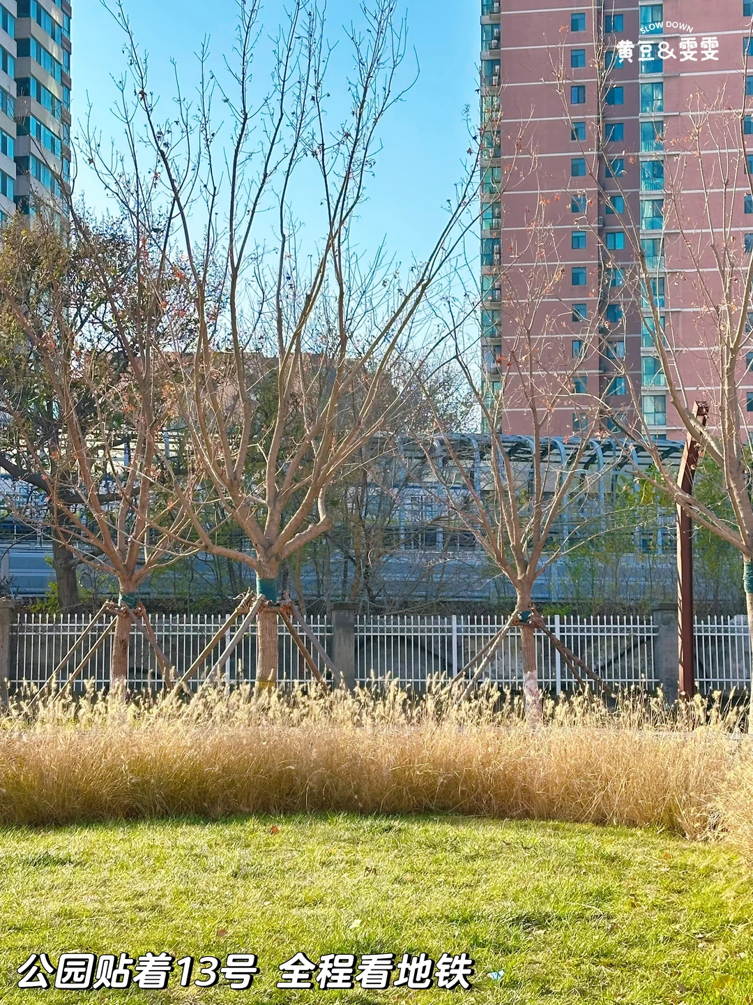 绝杀❗️无动力+大学食堂+火车展馆+喂动物