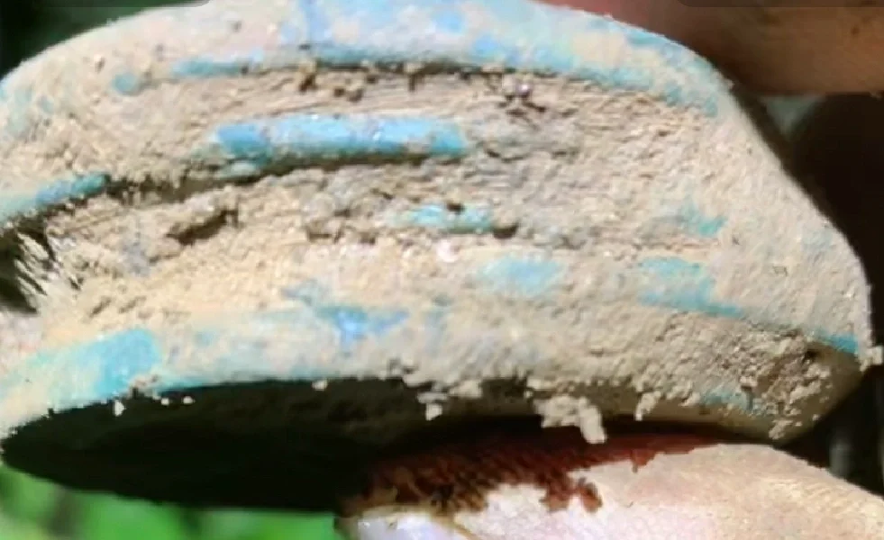 揭露一个内容特别炸裂的直播间