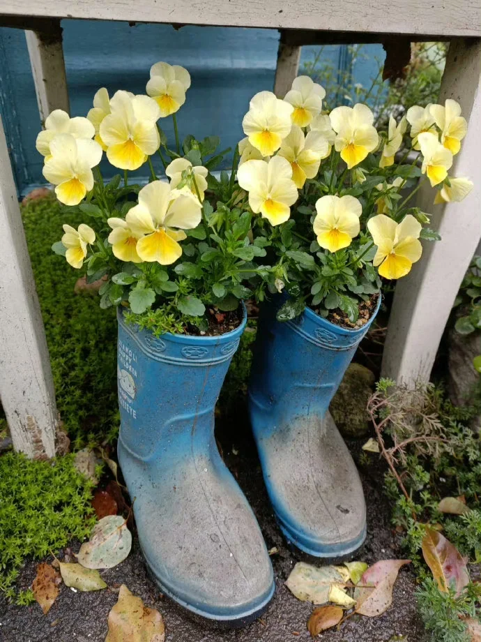 妈妈的智慧！她才是真正的生活家！