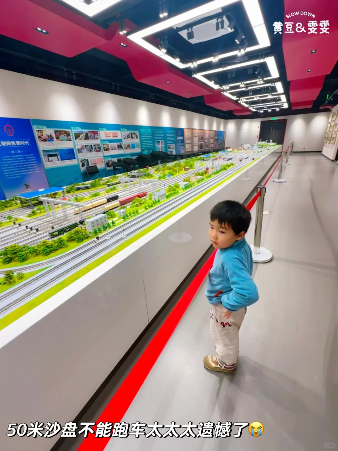 绝杀❗️无动力+大学食堂+火车展馆+喂动物