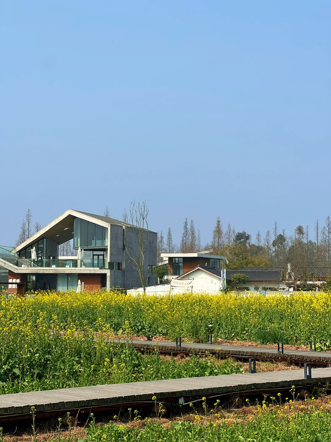 文旅融合| 文旅➕任何行业=王炸