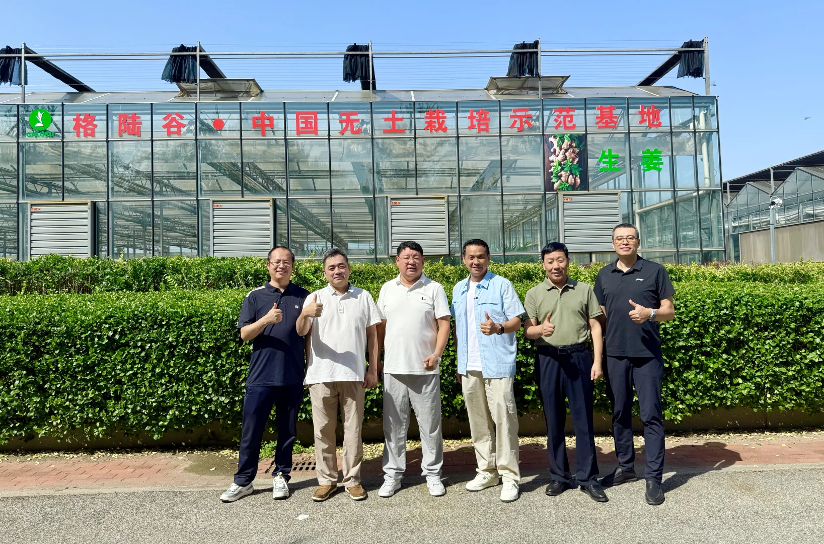 一亩地产15吨高质量生姜，不得不服这个模式