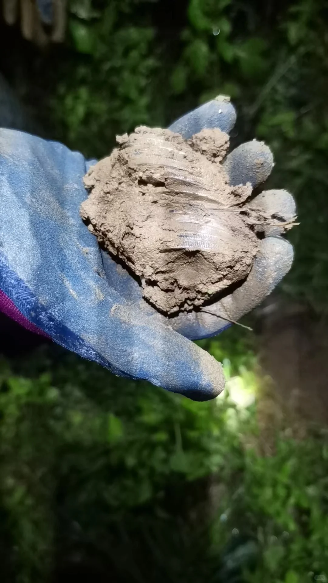 揭露一个内容特别炸裂的直播间