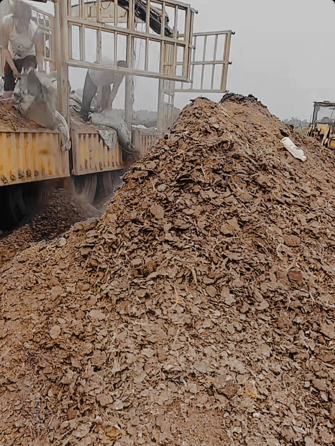 含泪吐槽：堆肥，才是最大的“钱袋子漏洞”