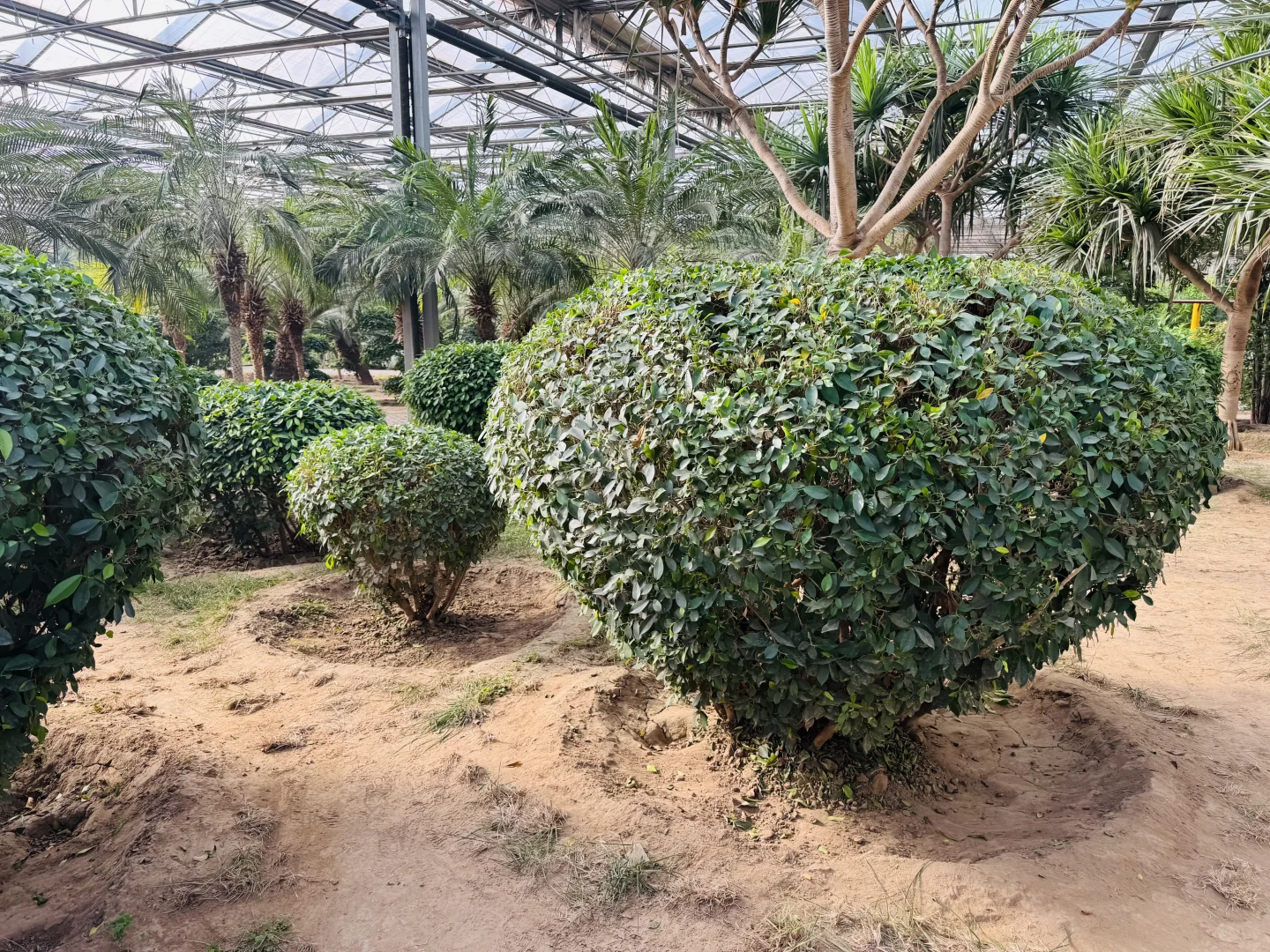 感受廊坊人民的阳光房快乐