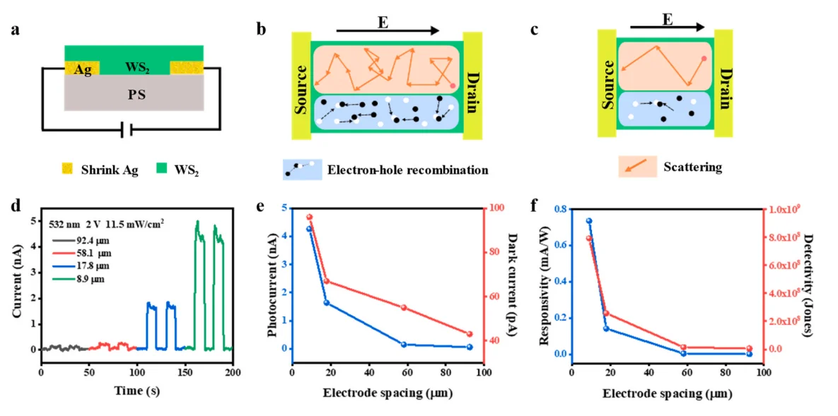 面向高集成成像的印刷二维WS2光电探测器