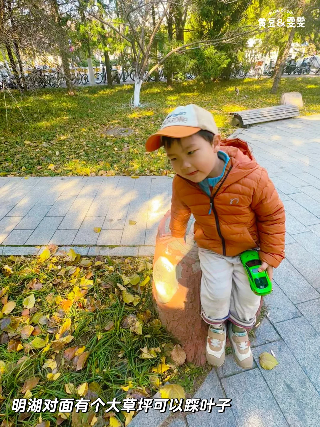 绝杀❗️无动力+大学食堂+火车展馆+喂动物