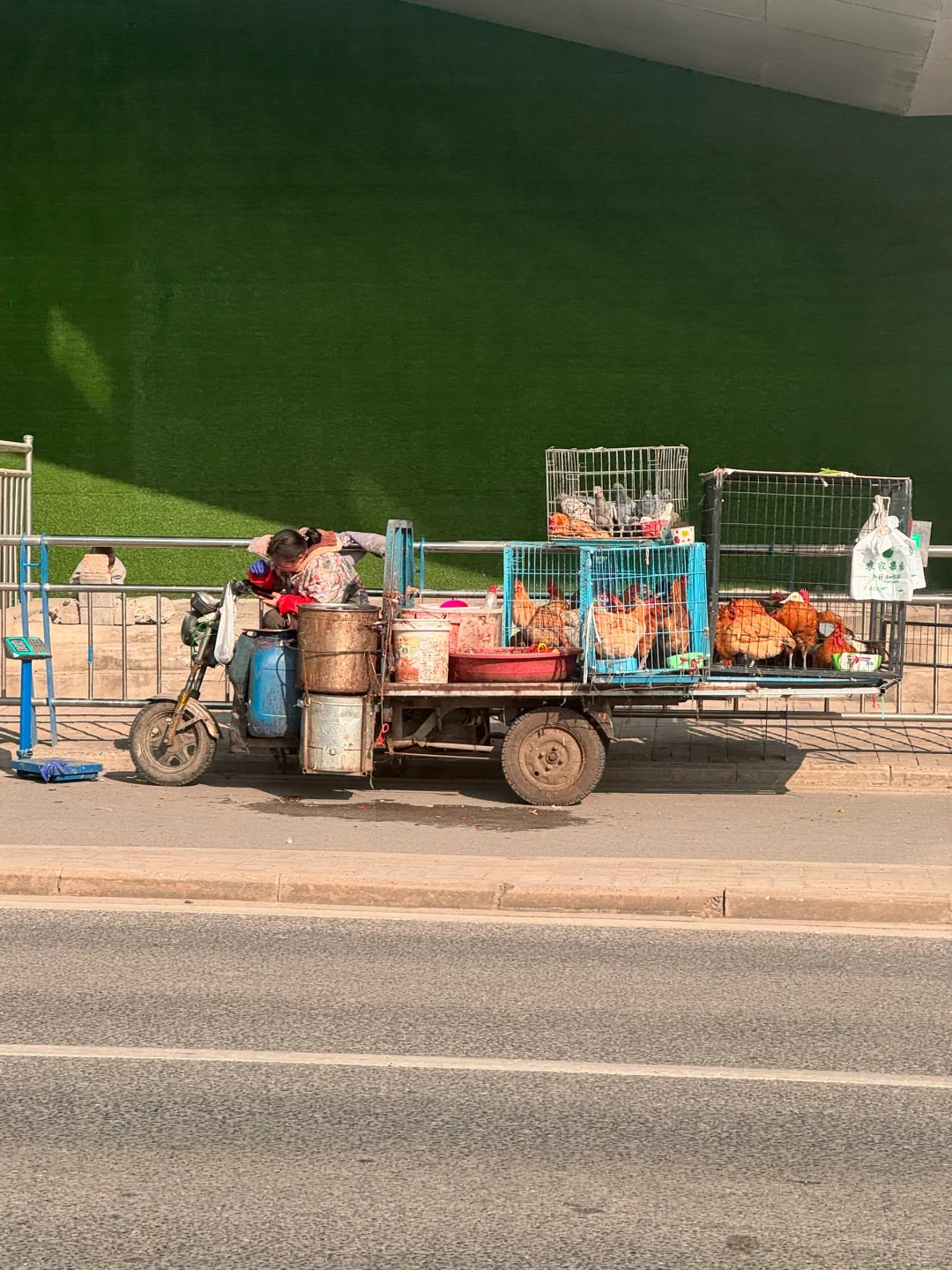 绿皮火车｜十年再坐