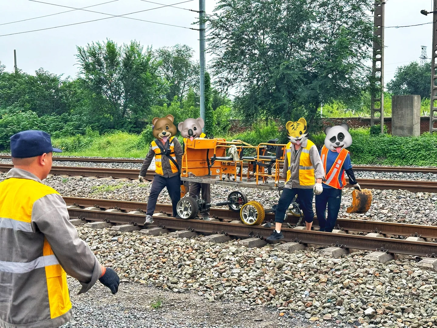 你们见过铁路钢轨上的“卡丁车”吗？