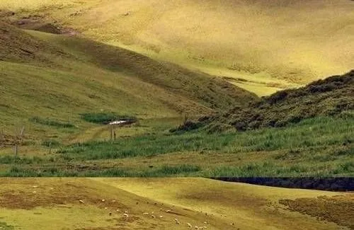 航铁优行|引领现代交通新风尚