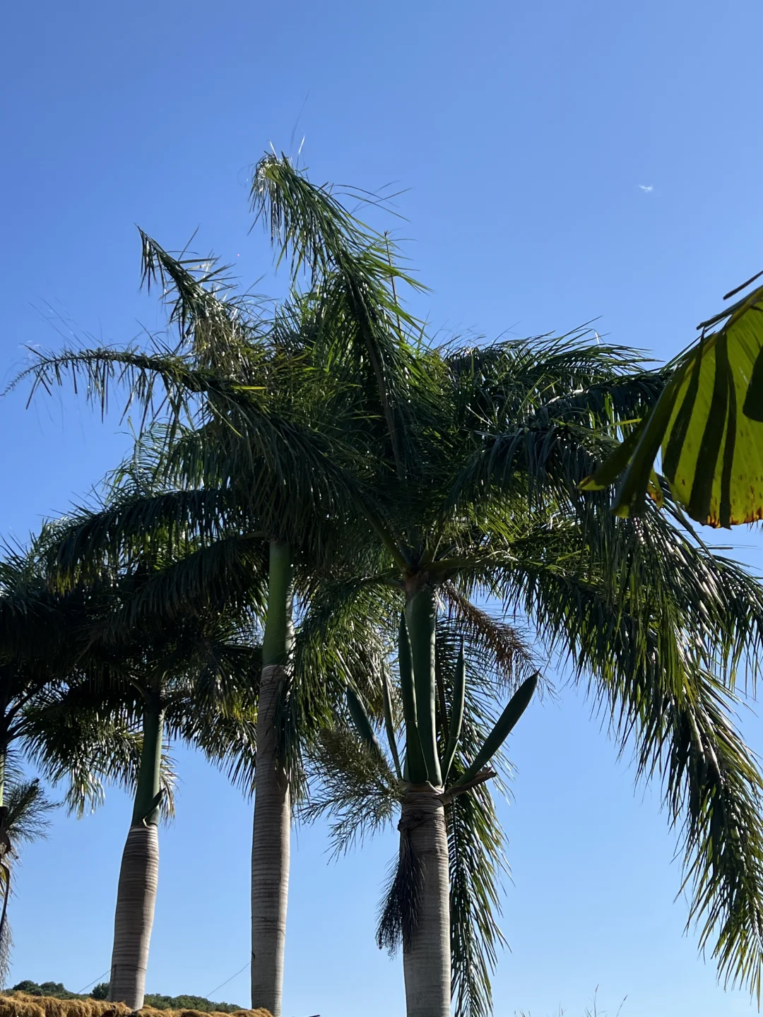 公司团建活动布置～