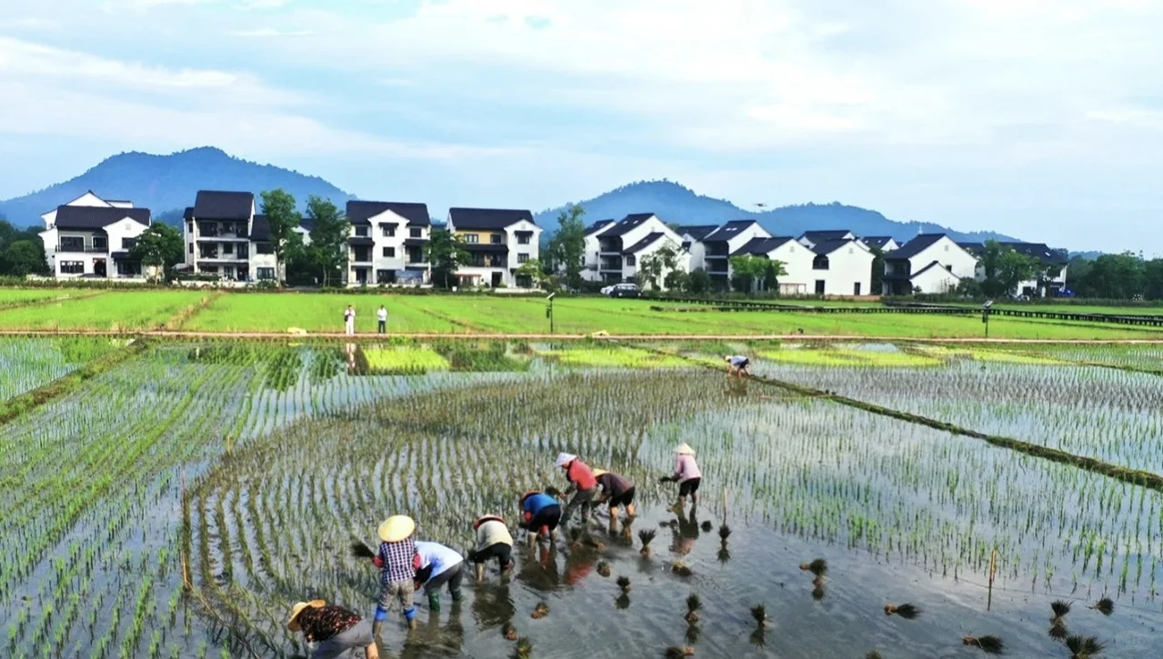 浙江安吉·鲁家村—小火车开出的致富路