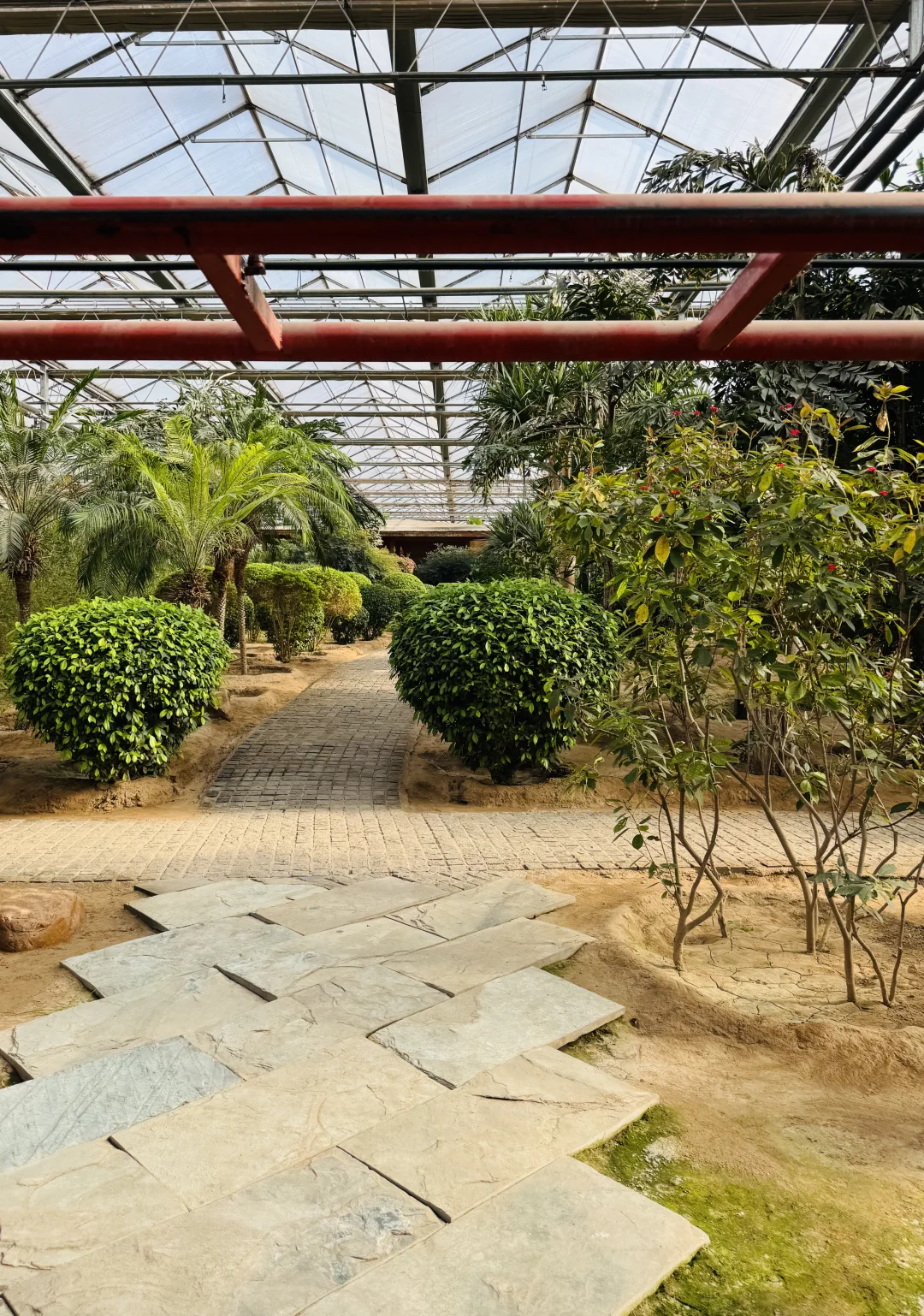 感受廊坊人民的阳光房快乐