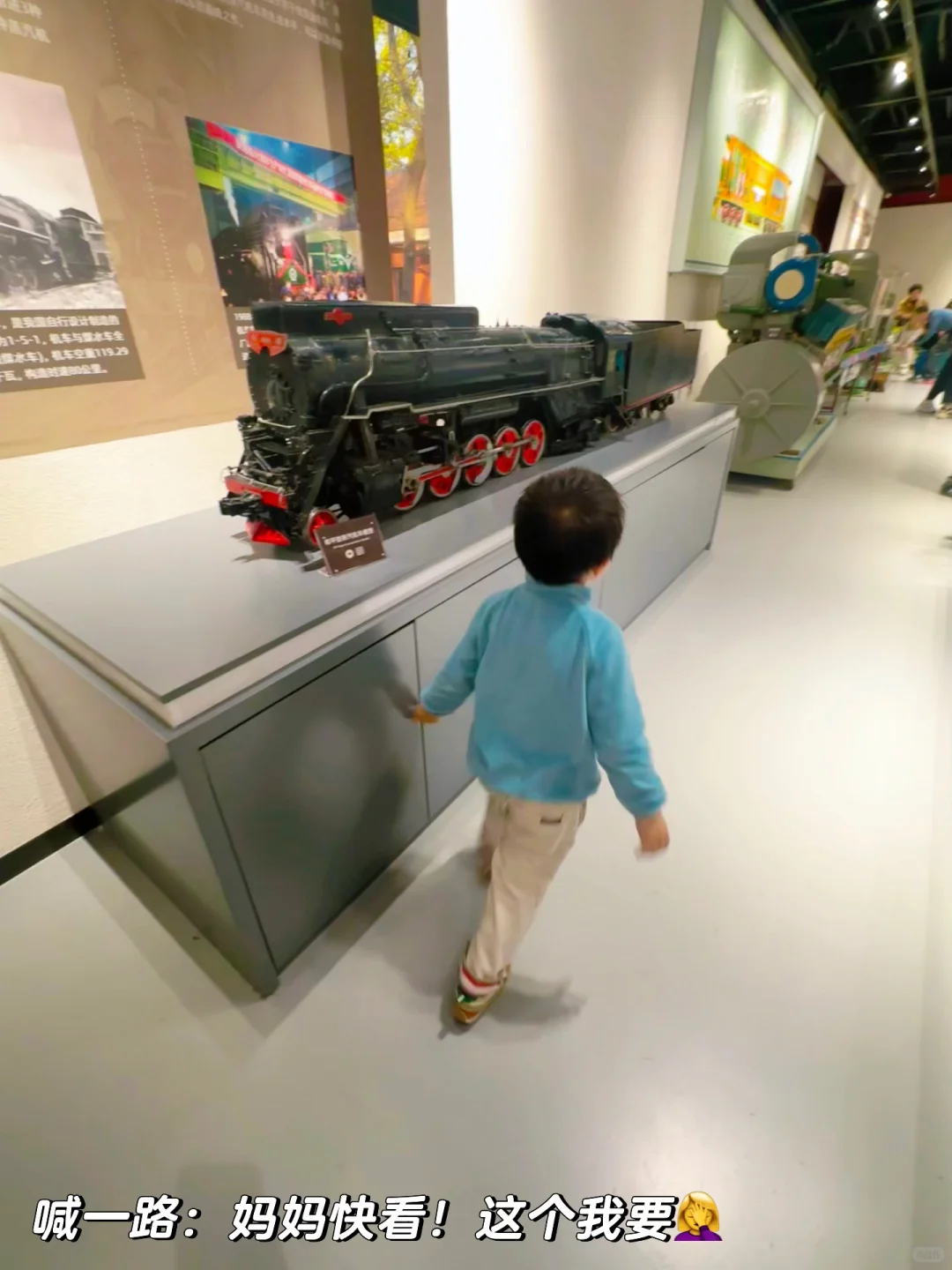 绝杀❗️无动力+大学食堂+火车展馆+喂动物