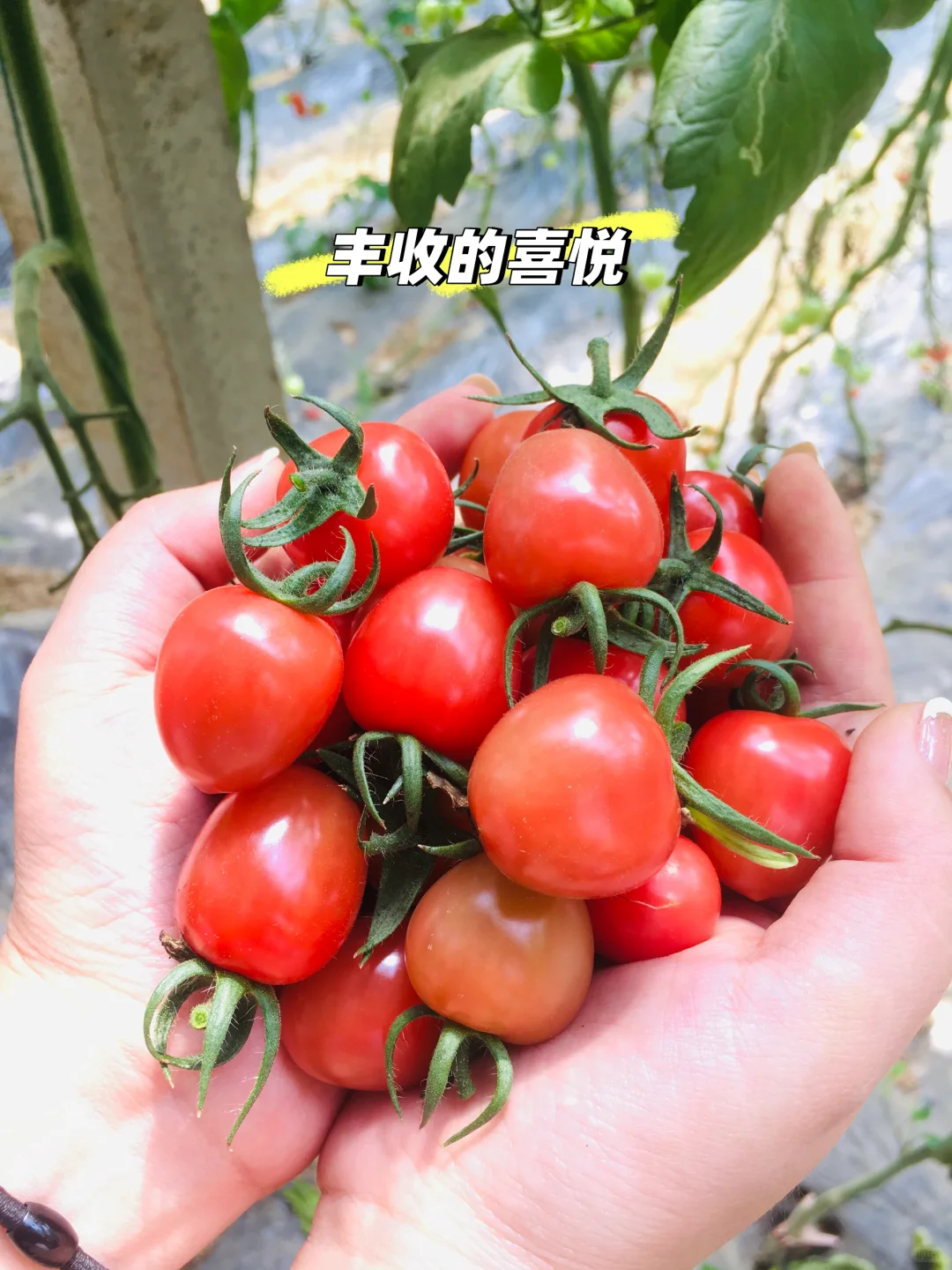 让农业成为有意义的事业！