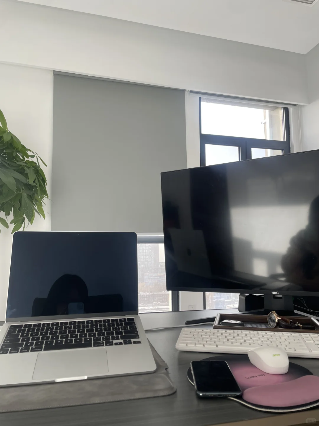 欢迎洛阳小宝入职我的公司