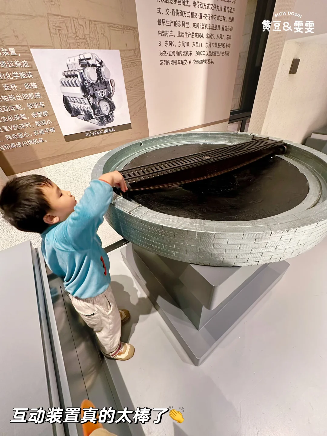 绝杀❗️无动力+大学食堂+火车展馆+喂动物