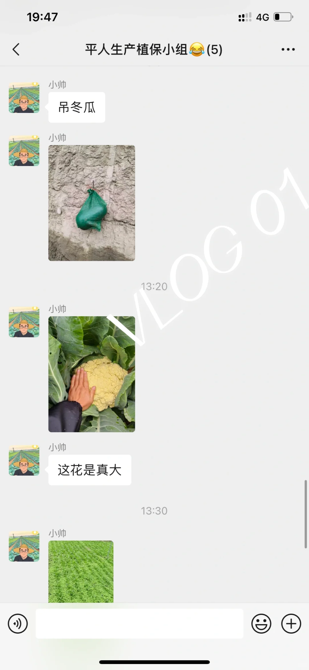 有机农场员工日常在聊什么？