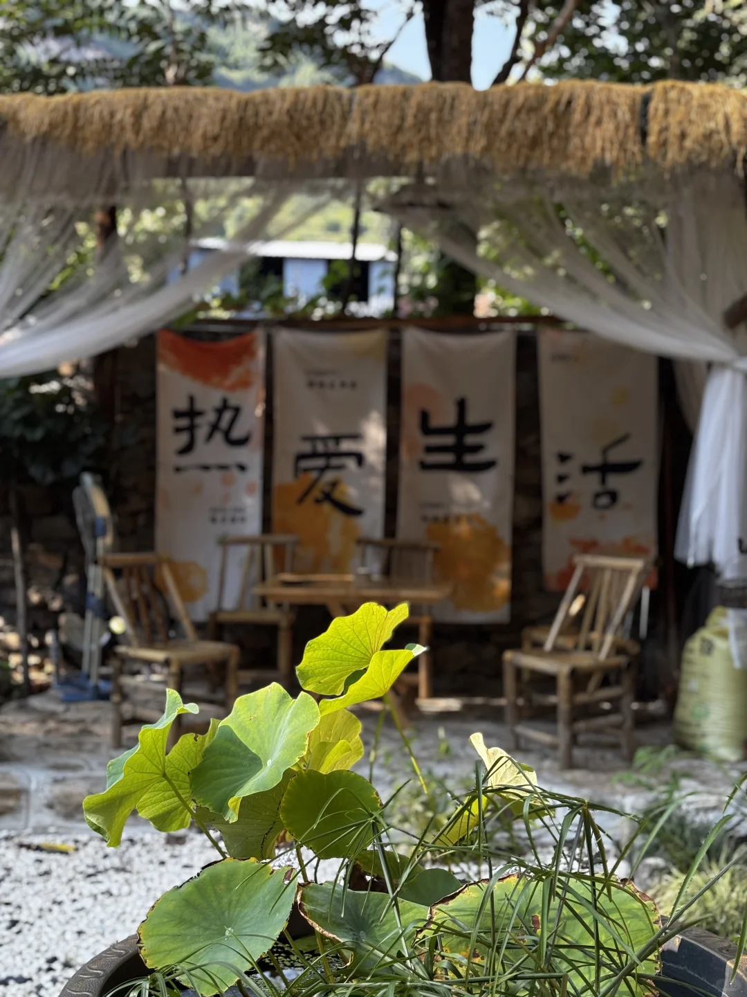 乡村文旅OR乡村振兴