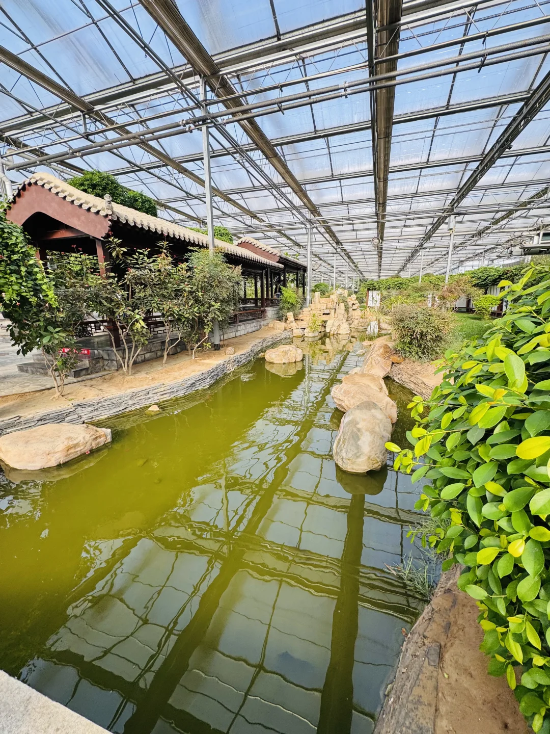 感受廊坊人民的阳光房快乐