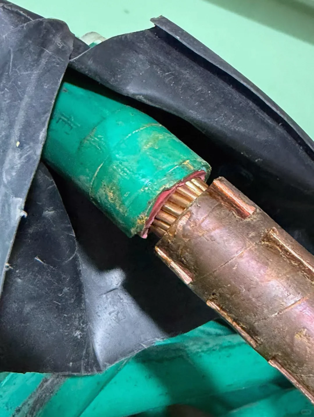 我，收废品的，月入五万.你呢？