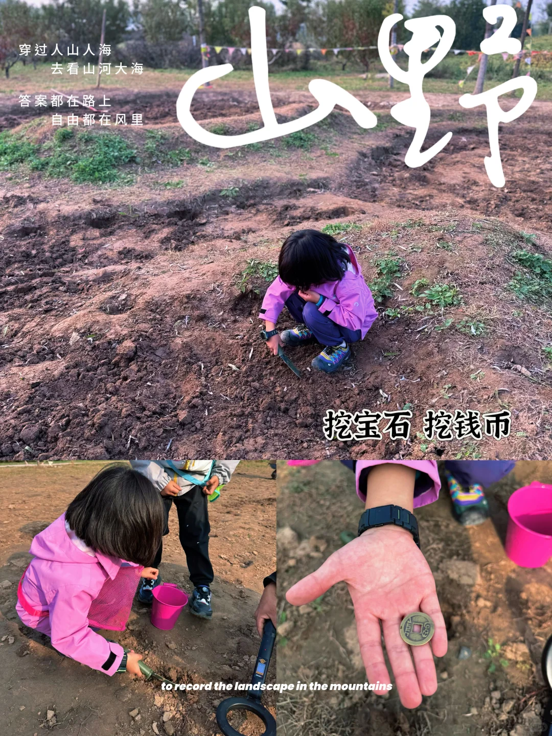 海淀竟然有这么好玩的小农场?被惊艳到了