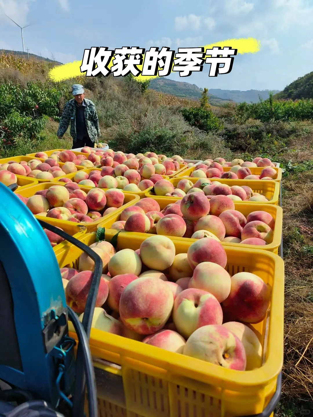 让农业成为有意义的事业！