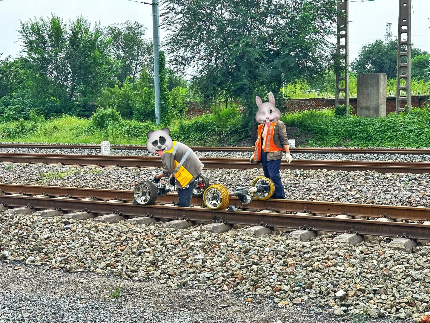 你们见过铁路钢轨上的“卡丁车”吗？