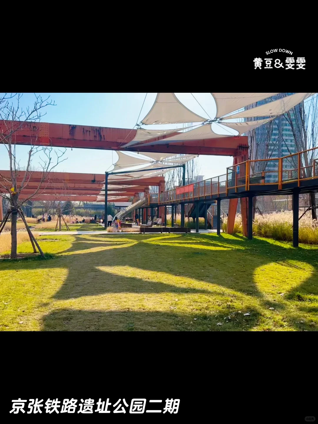 绝杀❗️无动力+大学食堂+火车展馆+喂动物