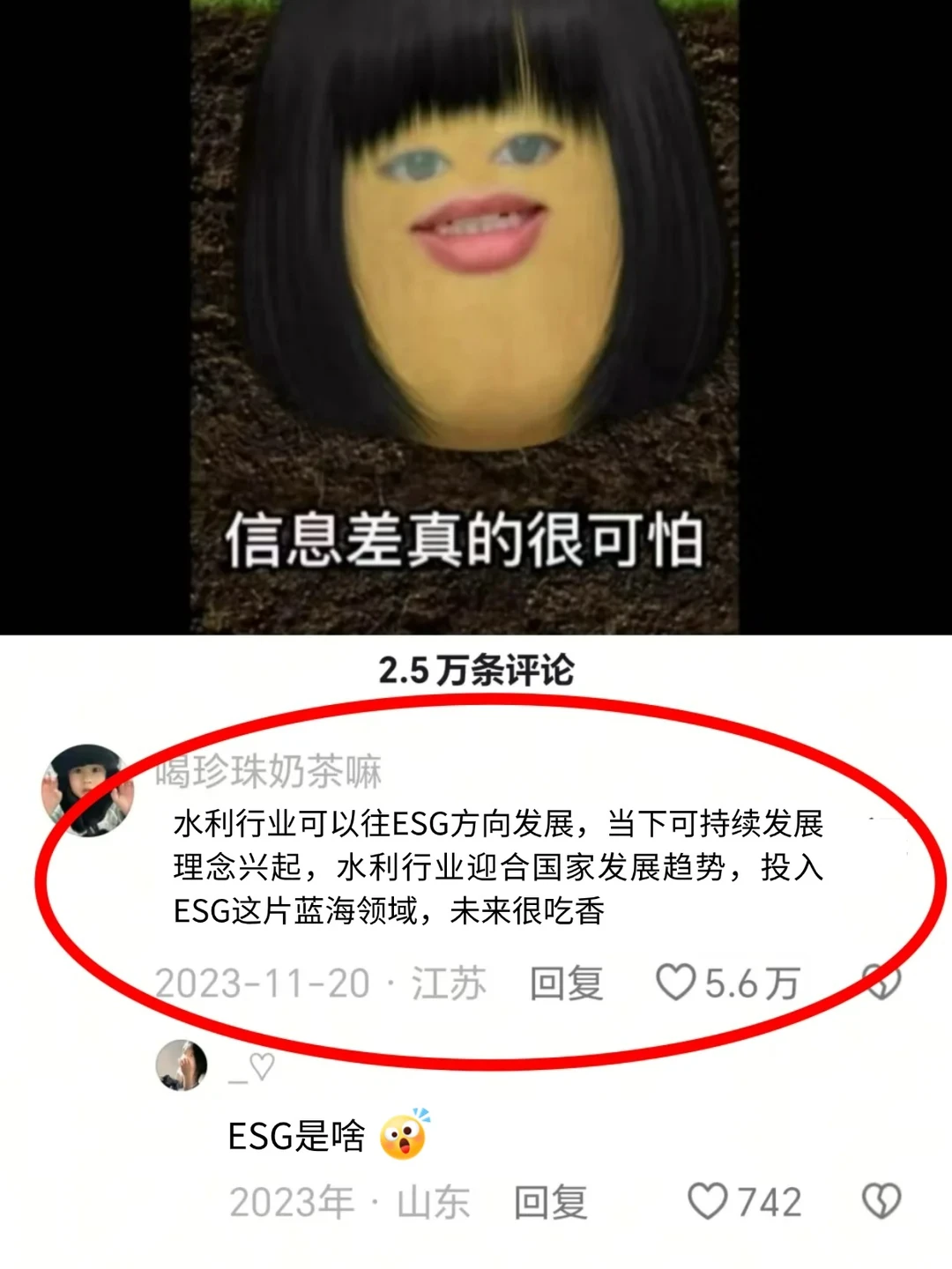 信息差——水利行业今年赢麻了