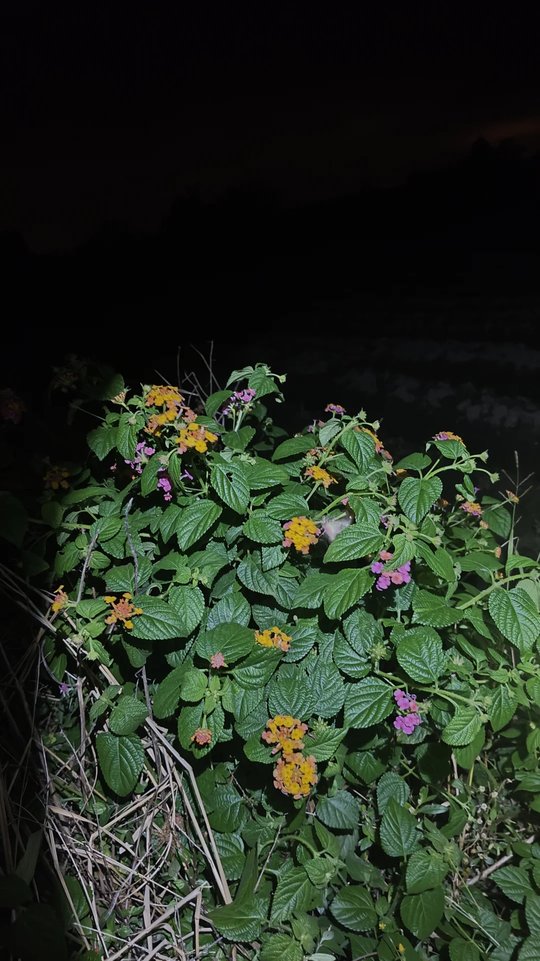 海南除了种植业还有什么暴利点的