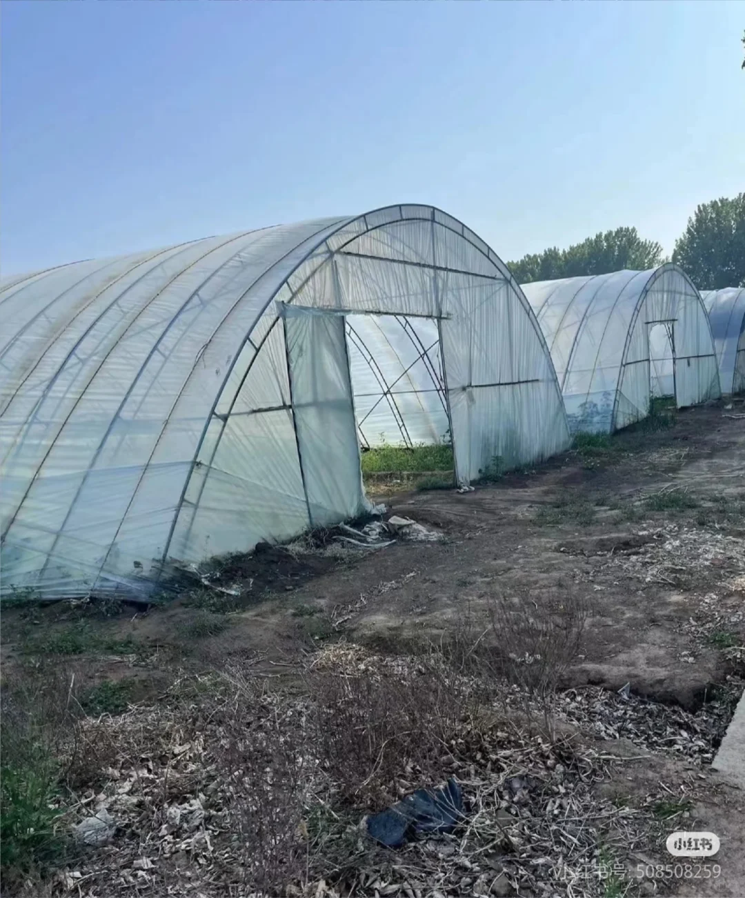 有想种大棚的朋友，周末带孩子来体验种植的