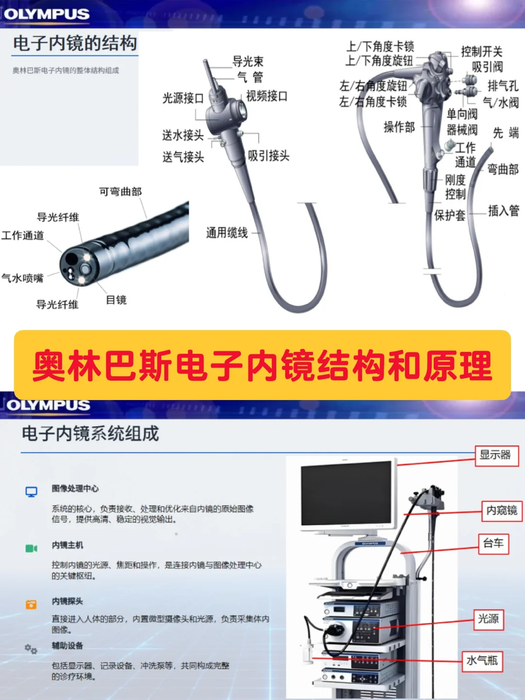 奥林巴斯电子内镜结构和原理