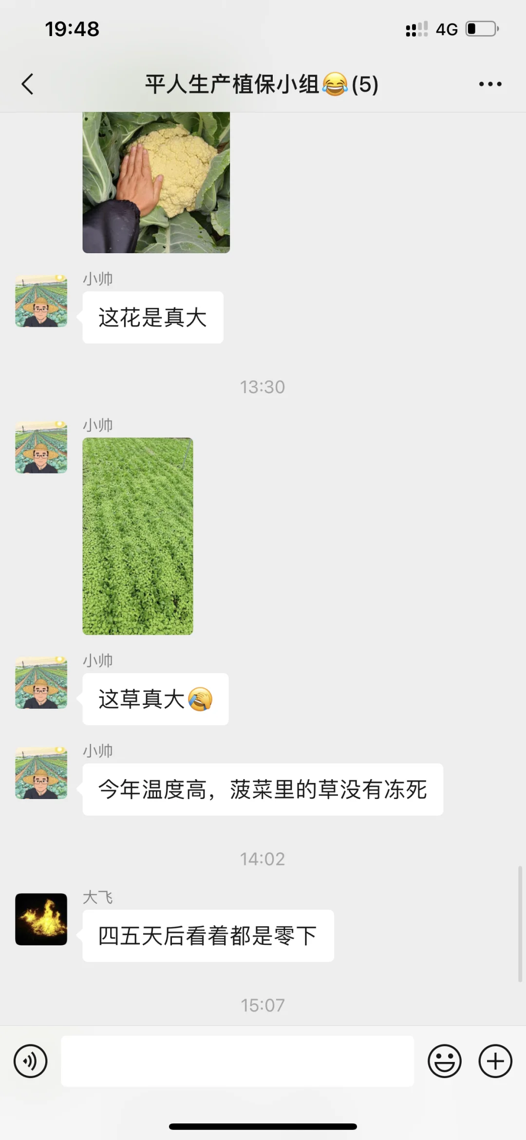 有机农场员工日常在聊什么？